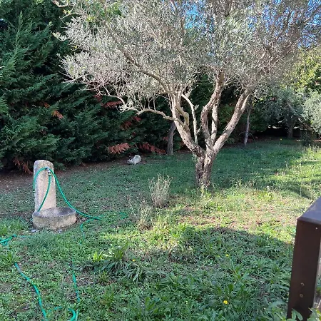 Carmela Ferienhaus *