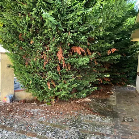 בית נופש Carmela